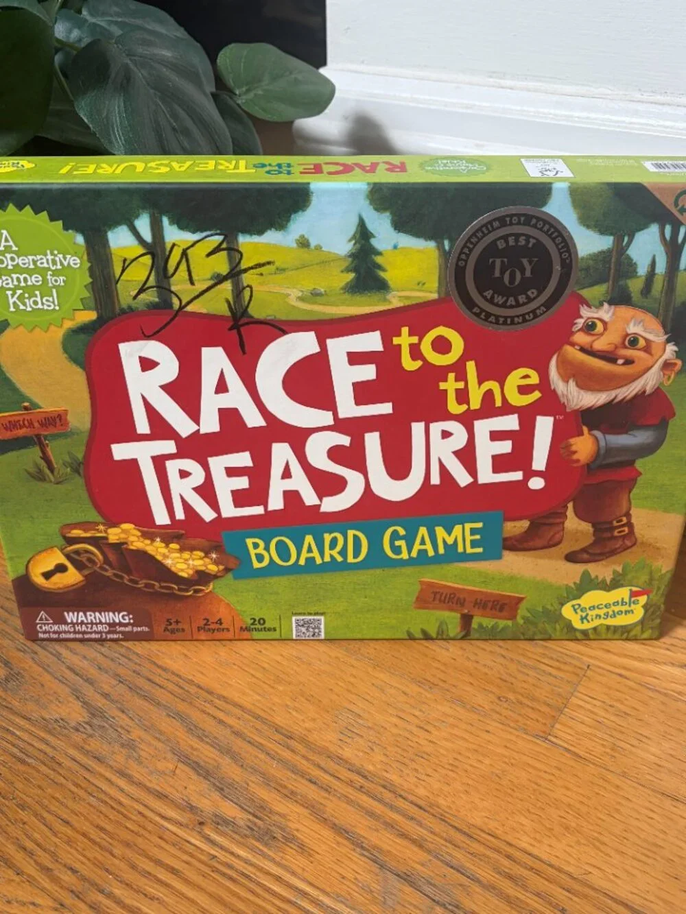 Race to the Treasure Cooperative Board Game Award Winning Ages 5+